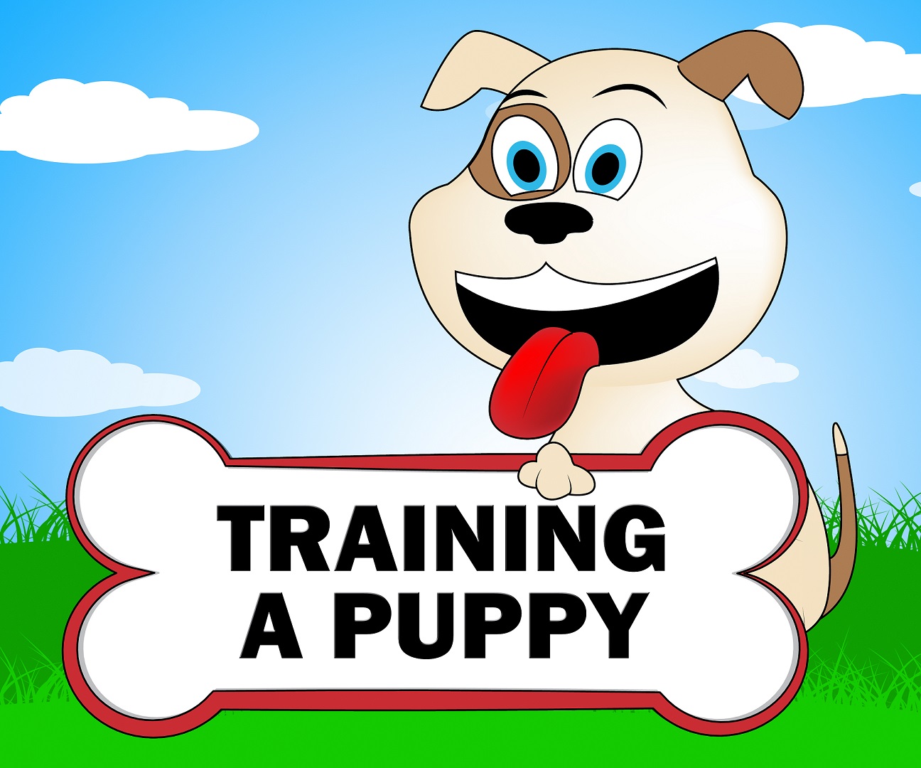 training-a-puppy