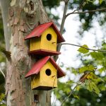 bird-houses