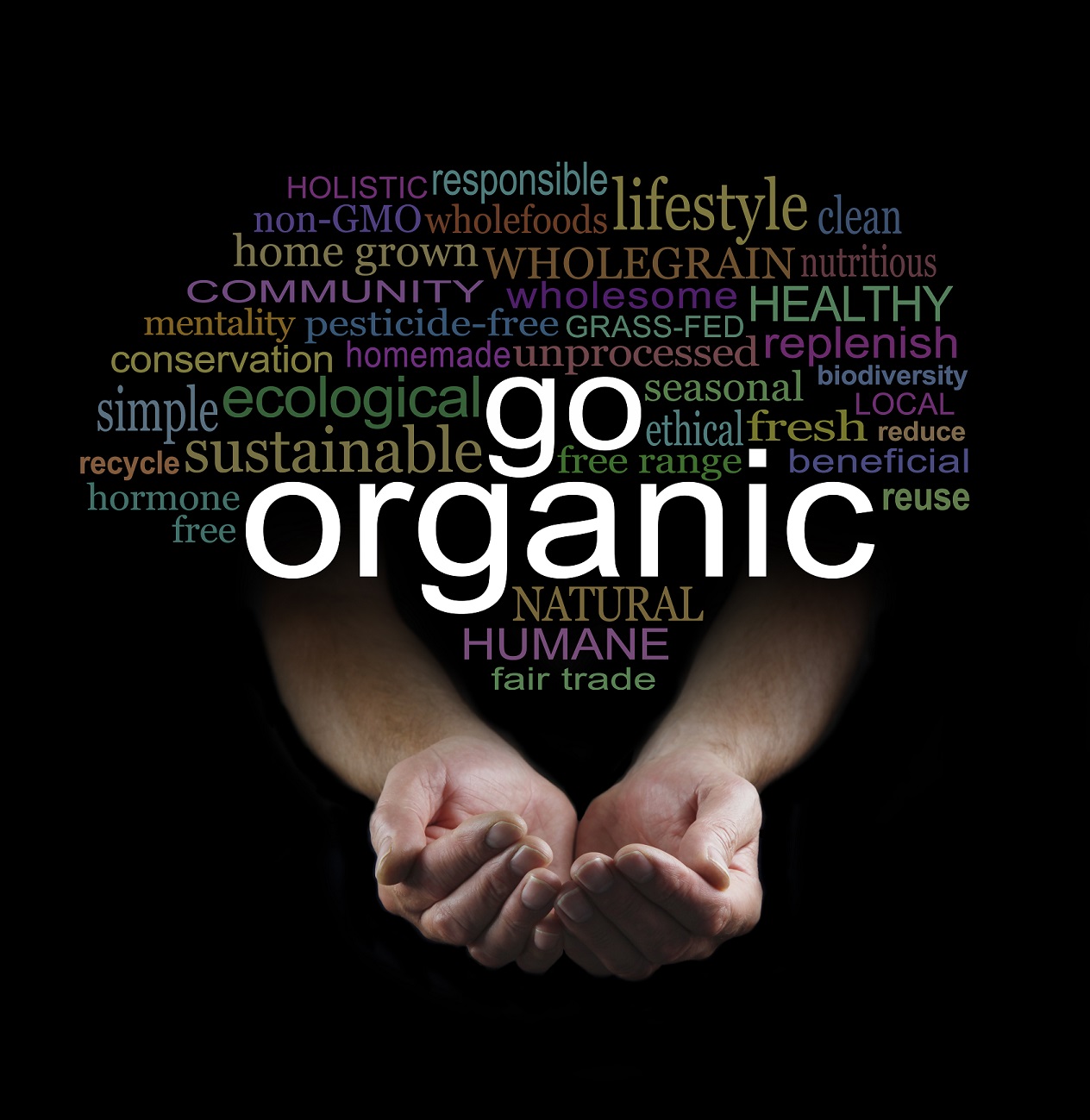 go-organic-campaign-poster