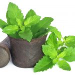 holy-basil-or-tulsi-leaves-in-a-vintage-mortar