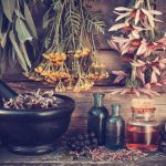 Vintage stylized photo of healing herbs bunches