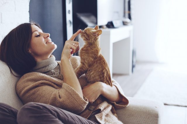cat young-woman-wearing-warm-sweater-is-resting-with-a-cat