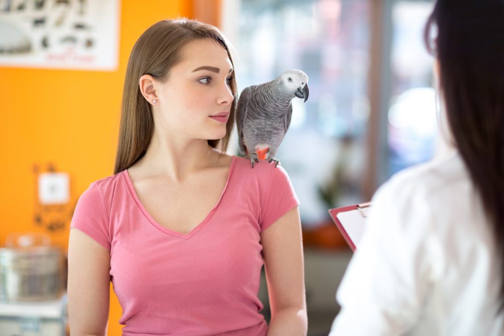 owner-her-pet-beautiful-african-gray