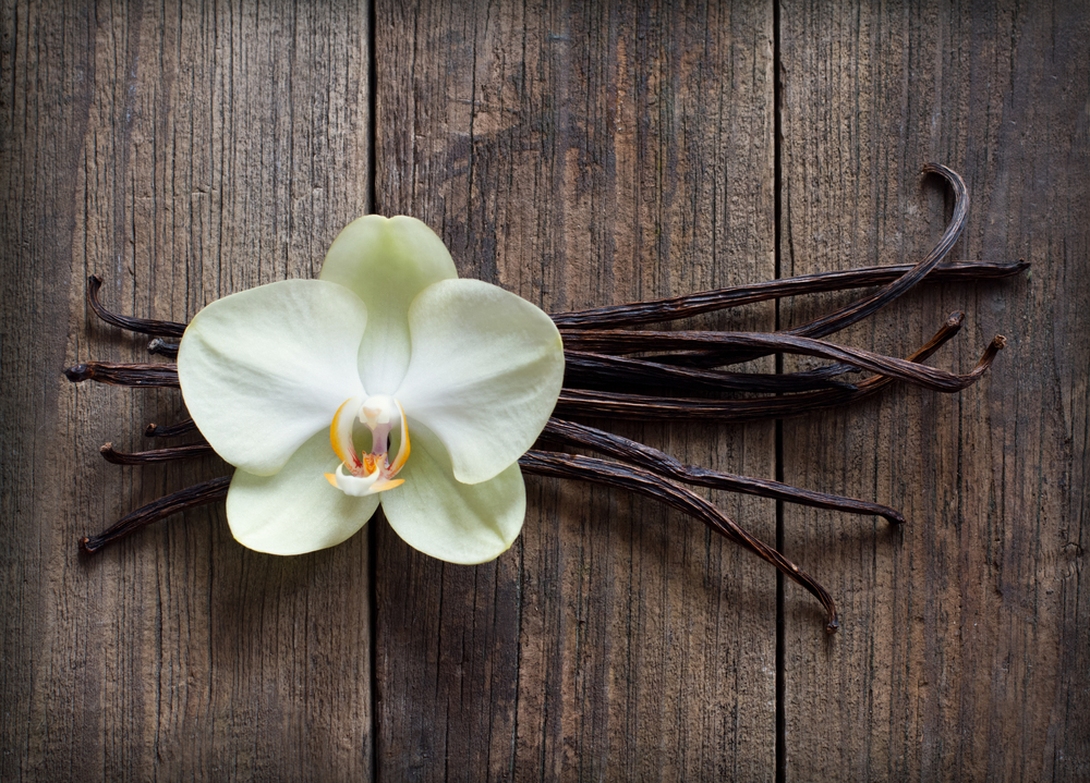 vanilla-sticks-flower-pod-on-wood