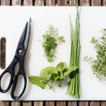 herbs-salads