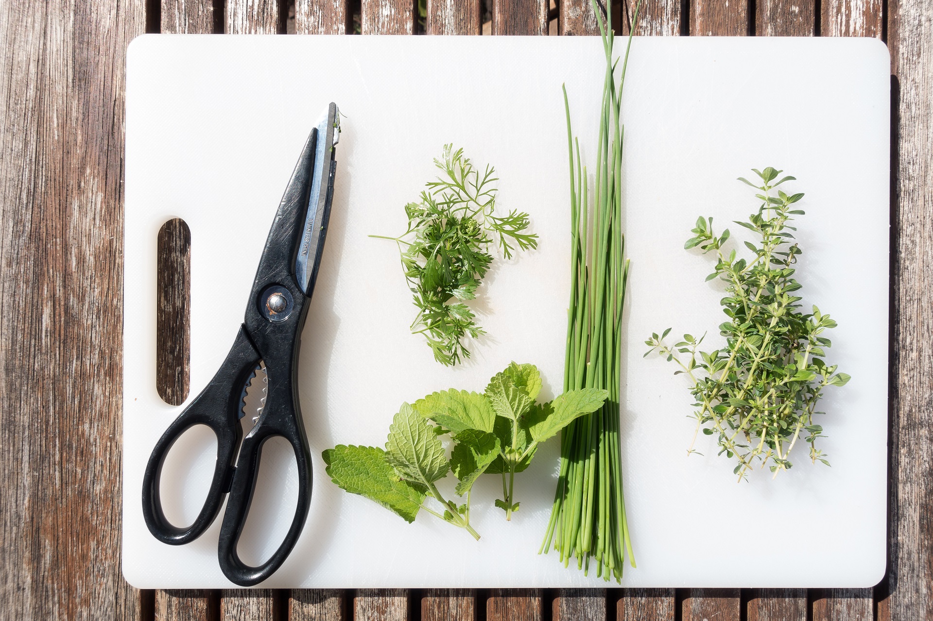 Herbs add flavor to salads. 