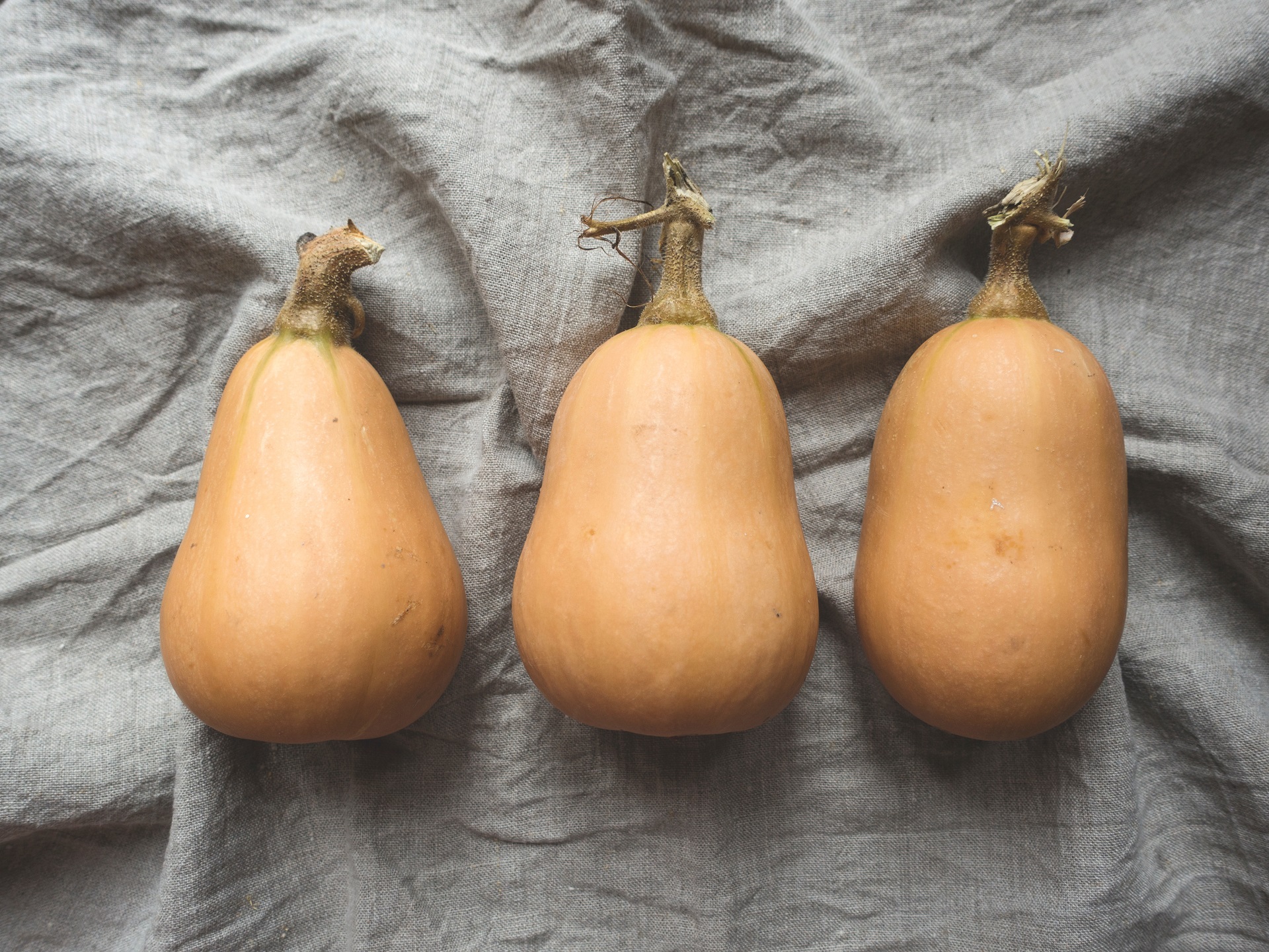 Squashes are also fruits. 