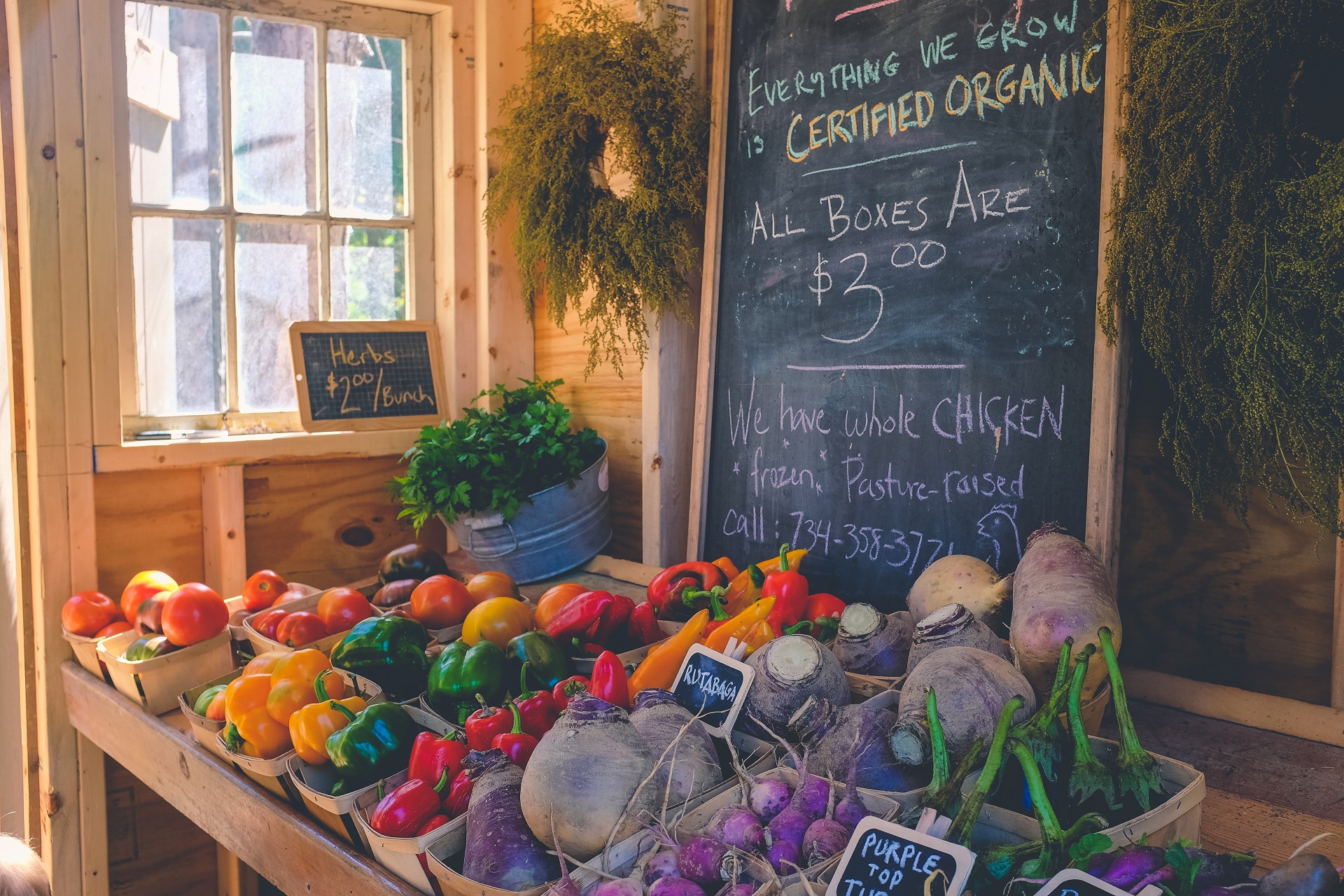 Organic stores are a good green business idea. 