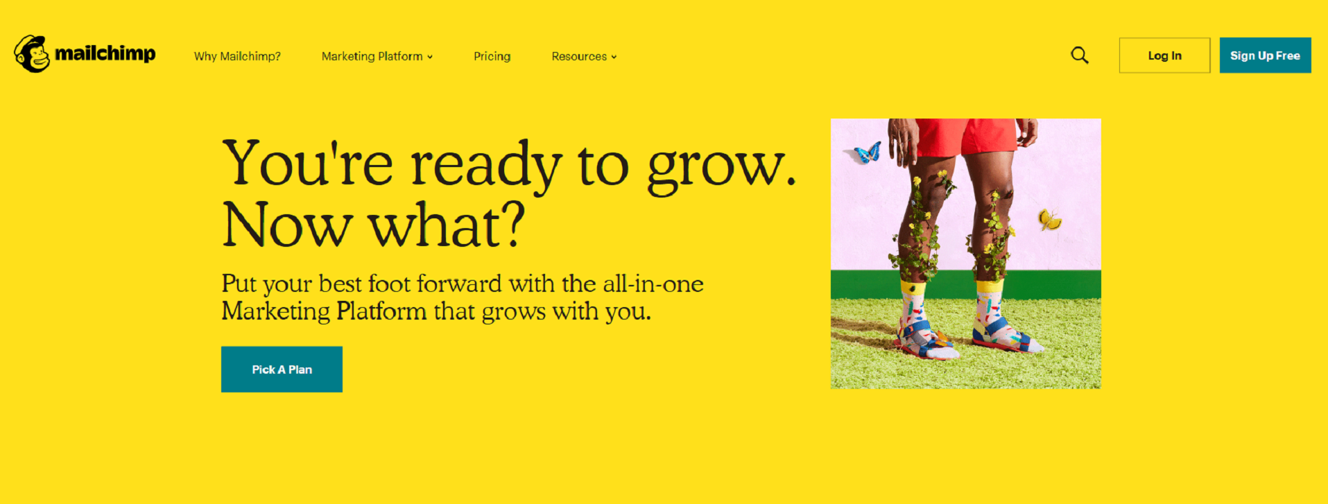 Mailchimp to organize your professional life. 